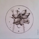 Lotus, a drawing by Megan Coetzee