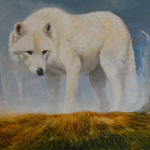 Artic Wolf, a painting by A Fernandez